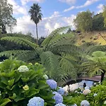 Tatil Evi Casa Amelia *