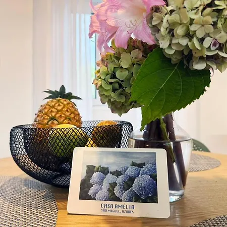 Casa Amelia بيت للعطل